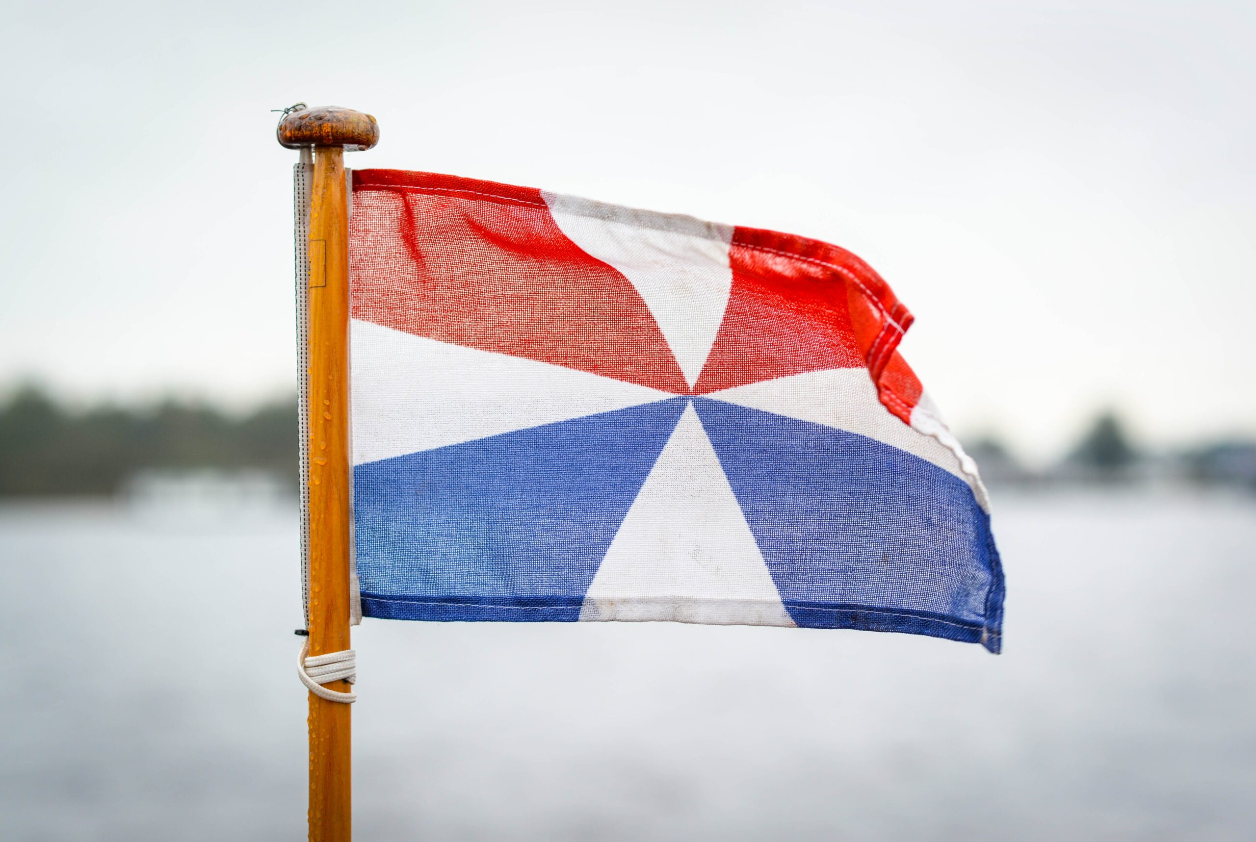 Website builder in Netherlands