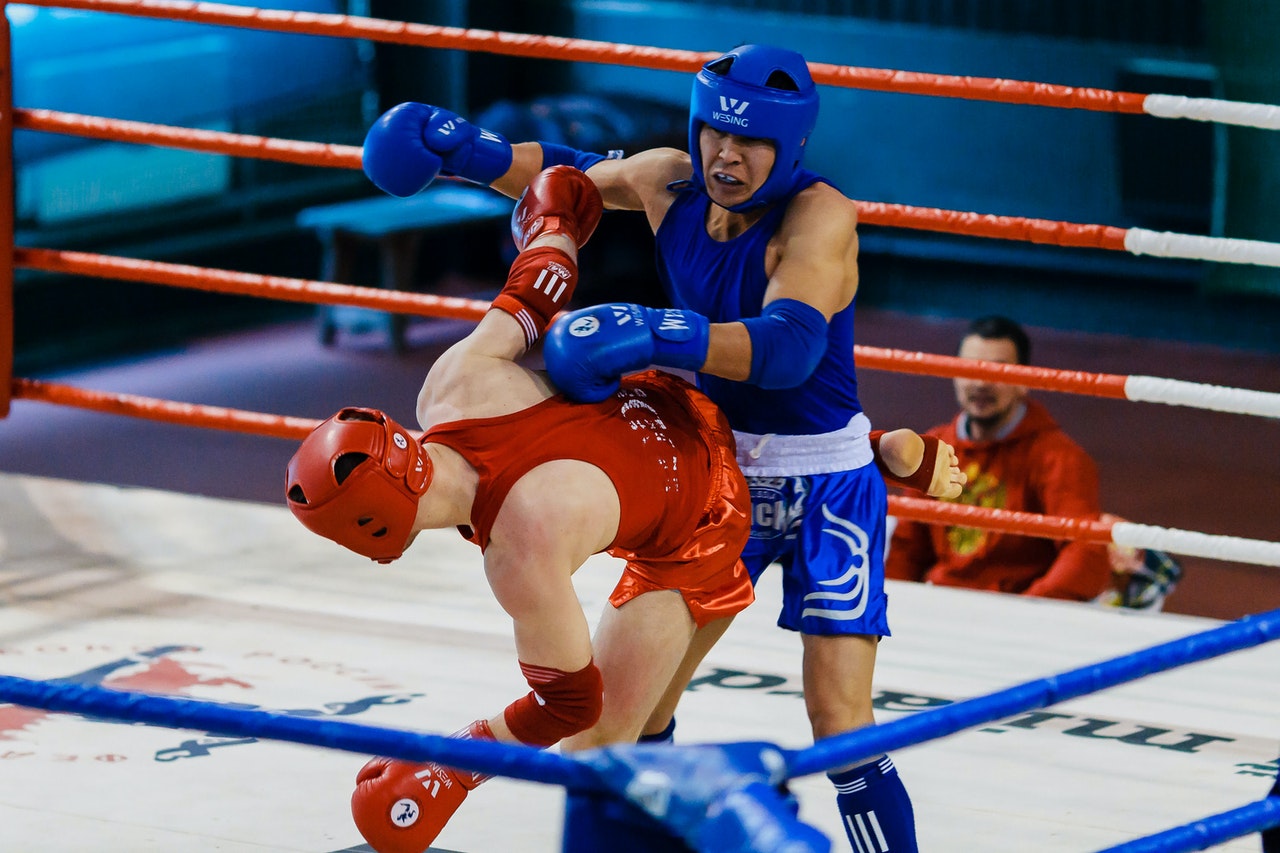 Zyro vs Shopify