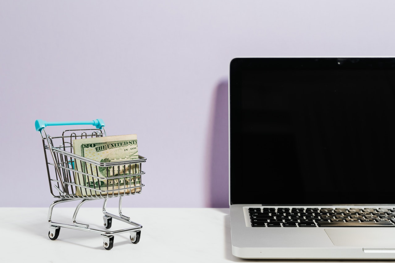 ecommerce platforms in South Africa.