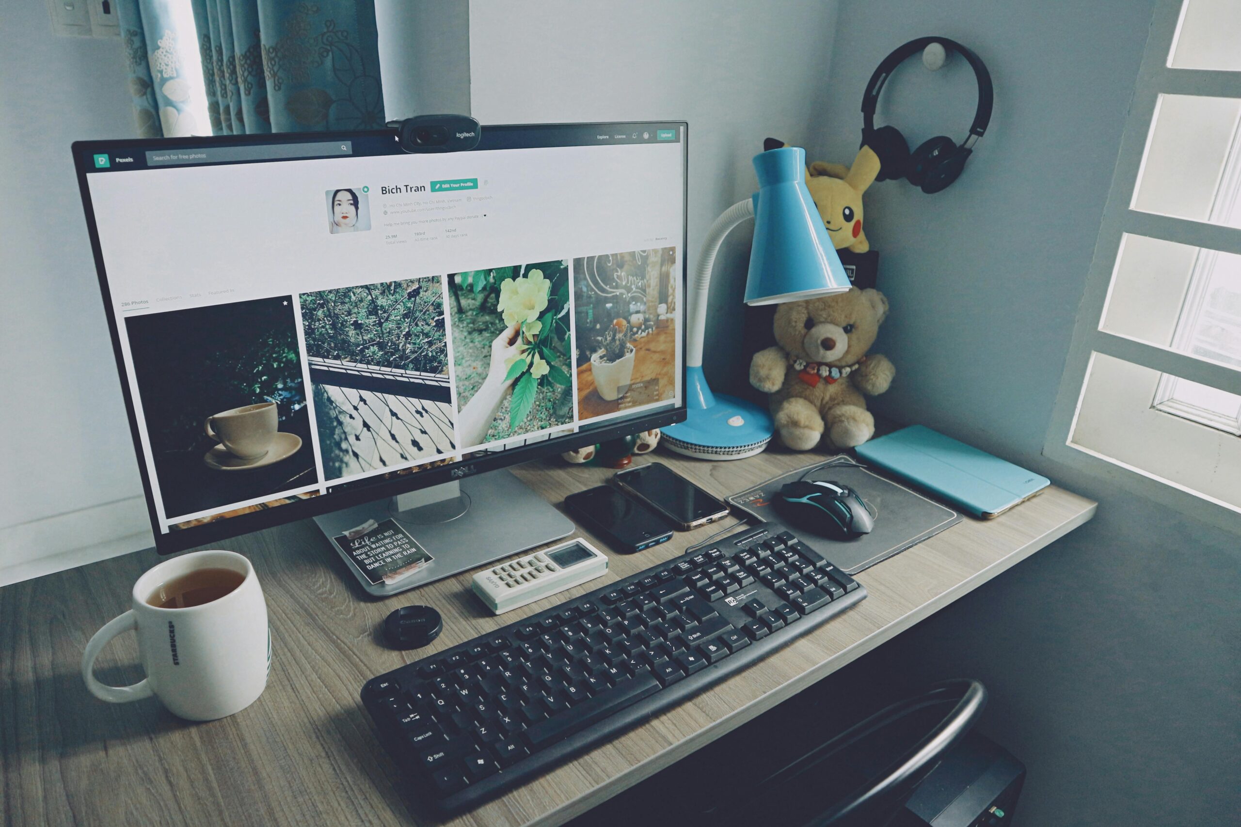 author website features
