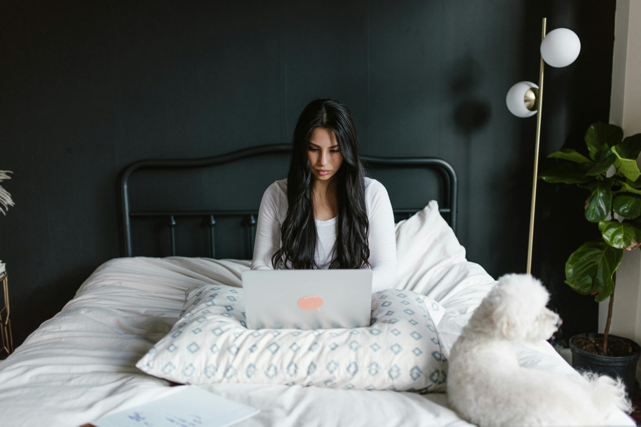Websites Will Get You Noticed