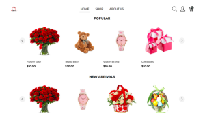 Online shop