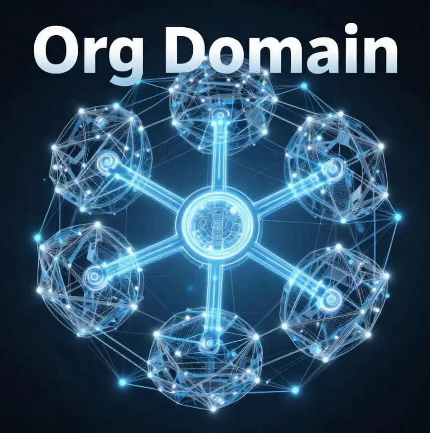 Org Domain